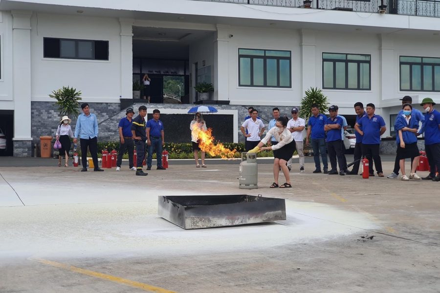 9130f55c-6b4b-4284-a6e1-4c7d0383554f-2424