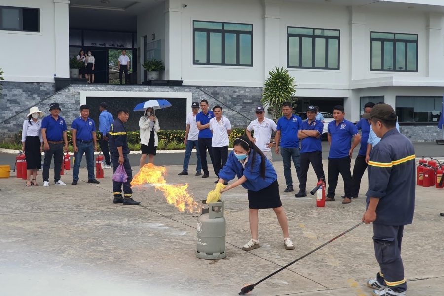 c0969134-5f0f-488f-855f-23e9150bb57e-6227